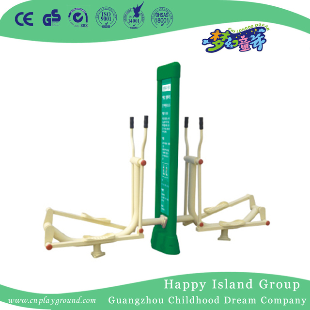 Outdoor Double Stations Luxurious Big Wheel for Residential Exercise Equipment (HD-13504)