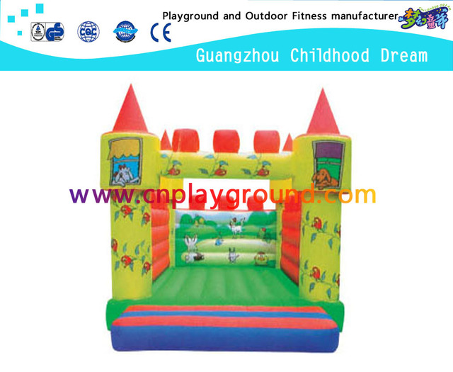  Children Outdoor Party House Inflatable Castle (A-10205)