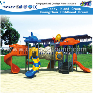 Cheap Animal Roof Children Galvanized Steel Playground with Slide Equipment(HA-05801)