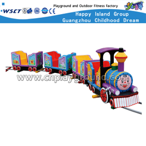 Amusement Park Popular Kids Electric Railway Train (HD-10504)