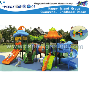 Outdoor Middle Size Children Slide Vegetable Playground (HC-5801)