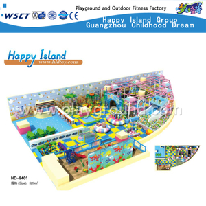 Funny Ocean Children Commercial Indoor Playground Equipment(HD-8401)
