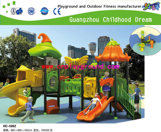 Hot Sale New Bright Color Outdoor School Vegetable Galvanized Steel Playground Play Structure (HC-5802)