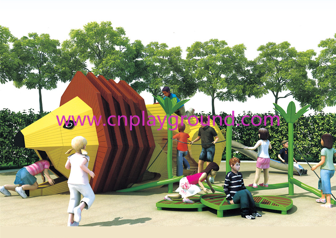 www.cnplayground.com