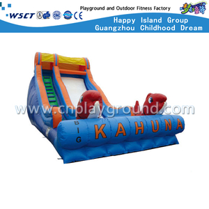 HD-9406 Outdoor Inflatable Slide Children Play Equipment
