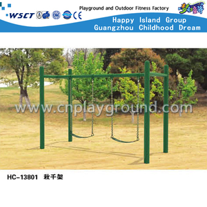 Green Outdoor Children Leisure Double Swing Equipment (HC-13801)