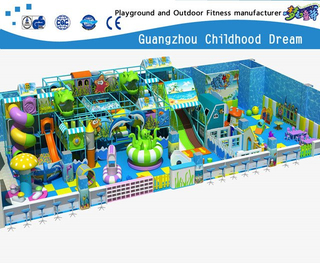Small Indoor Ocean Advance Playground under Sea Play System Equipment (H14-0911)