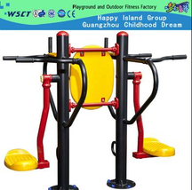 Outdoor Fitness Equipment for Body Building Double Swaying Board (HA-12302)